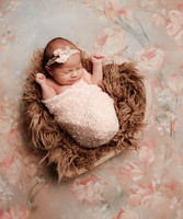 Teagan-6