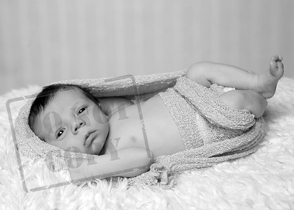 IMG_3907bw