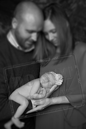 IMG_8945bw