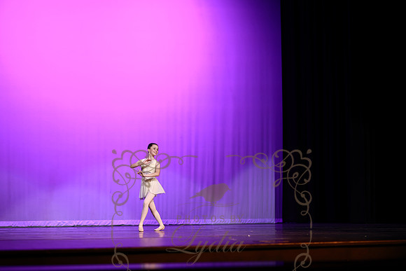 Don Quixote (27)