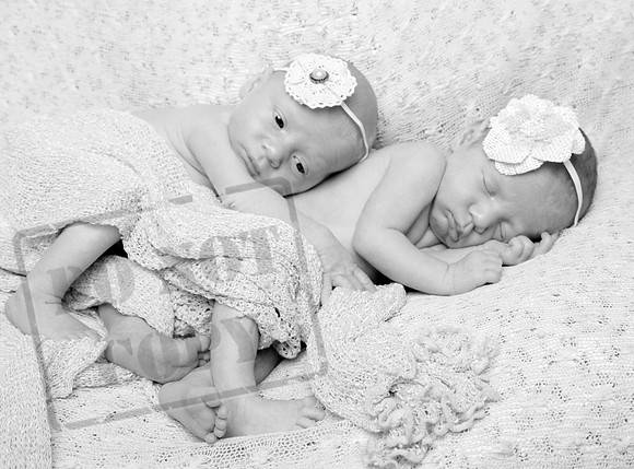 IMG_6629bw