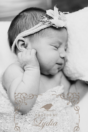 Teagan-14