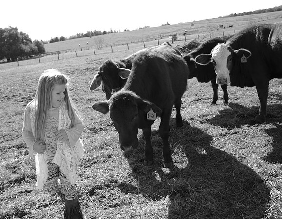 IMG_0483bw