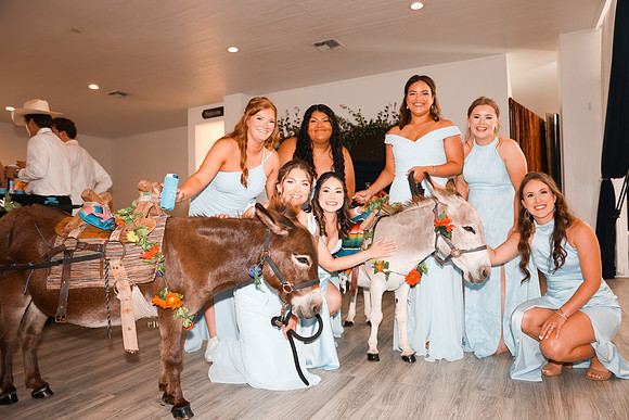 Reception-53