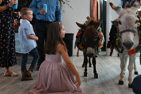 Reception-10
