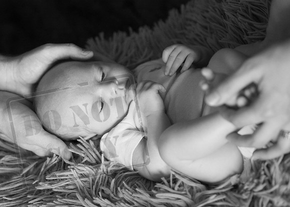 IMG_7122bw