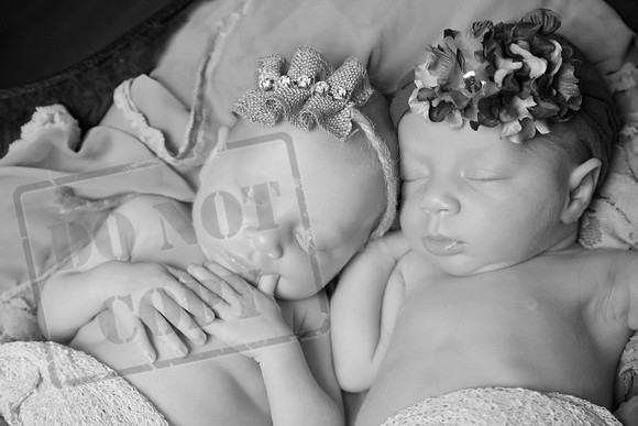 IMG_6598bw