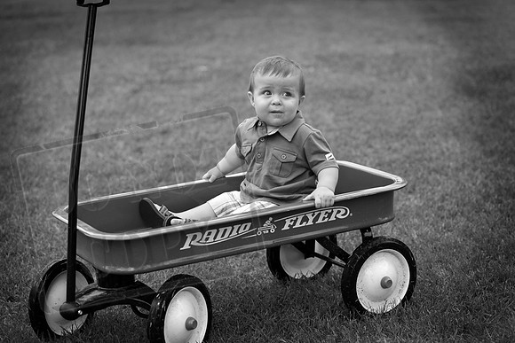 IMG_9652bw
