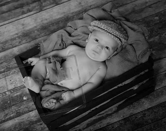 IMG_2544bw