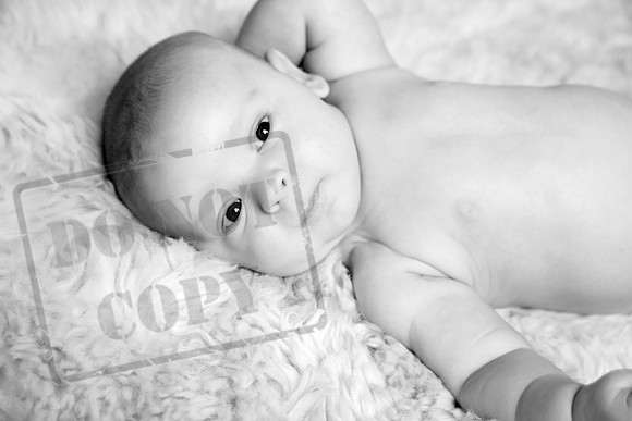 IMG_2613bw