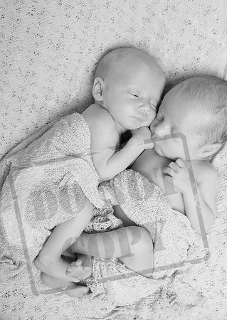 IMG_6638bw