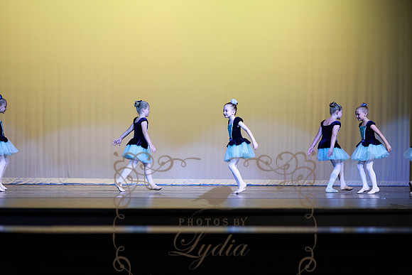 Pied Piper (3)