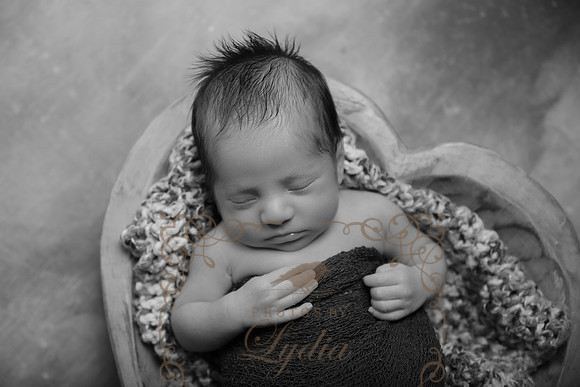 Aiden-0881b