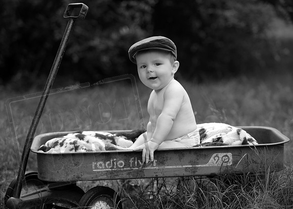 IMG_6767bw
