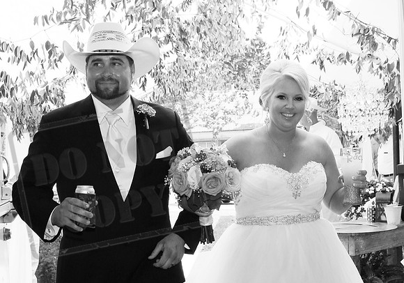 reception (19)