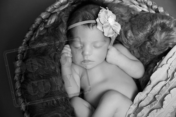 IMG_1017bw