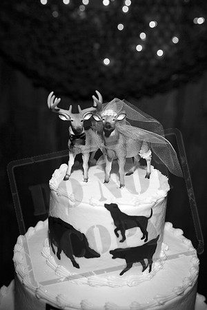 IMG_0593bw