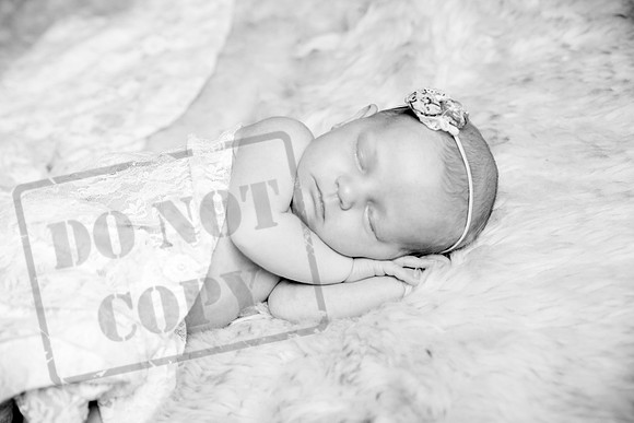 IMG_1702bw