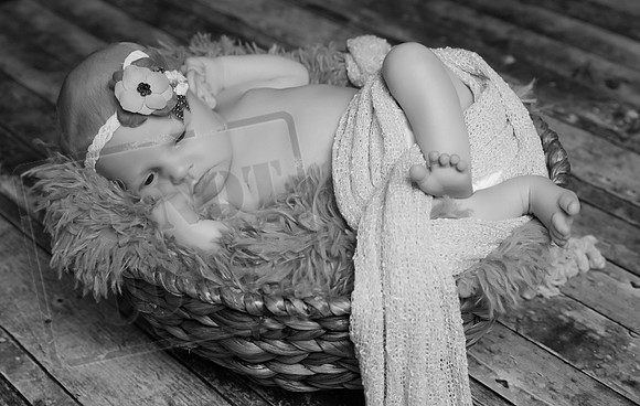 IMG_1648bw