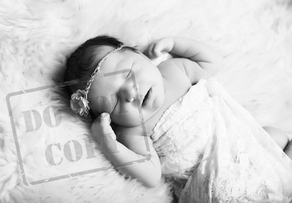 5V3B8485bw