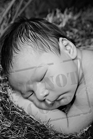 IMG_1176bw