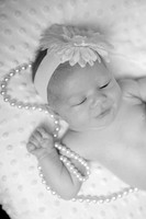 IMG_1365bw