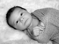 IMG_1135bw