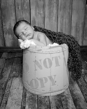 IMG_1180bw