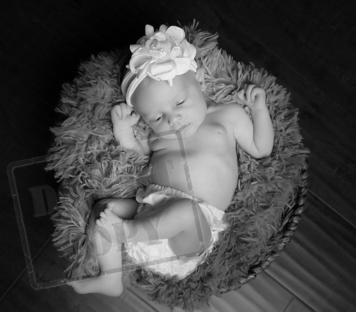 IMG_1634bw