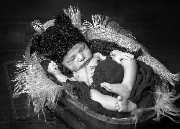 IMG_1157bw