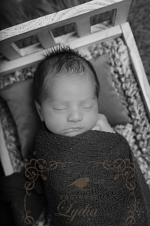 Aiden-0837b