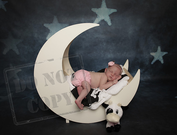 IMG_1675bwc