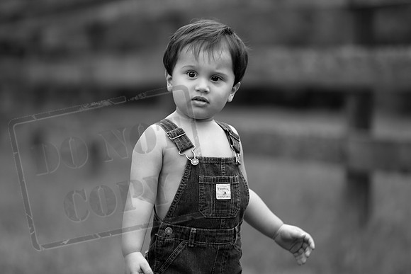 5V3B6626bw