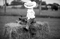 IMG_9547bw