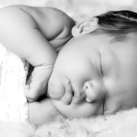 5V3B8468bw