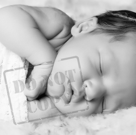 5V3B8468bw