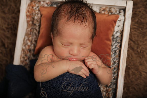 Aiden-0853