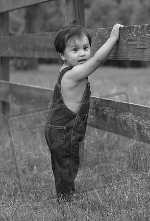 5V3B6622bw