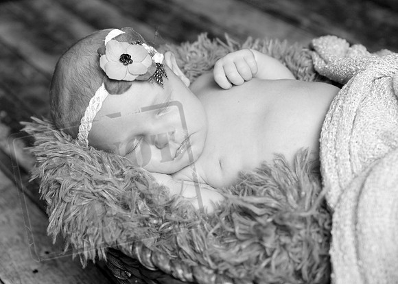 IMG_1641bw