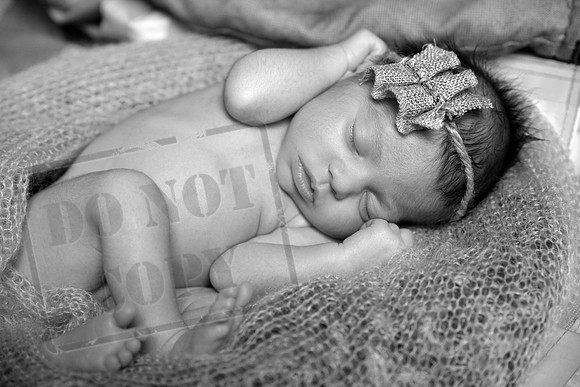 IMG_1046bw