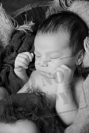 IMG_1149bw