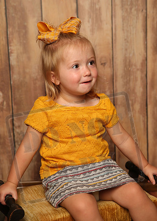 5V3B3668