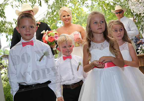 reception (15)