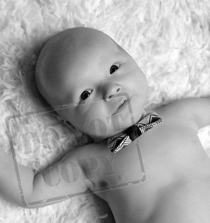 IMG_7876bw