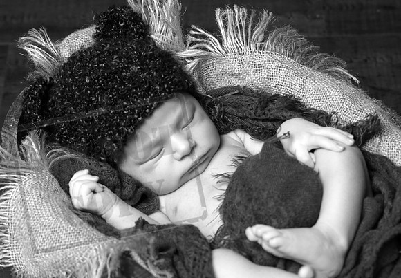 IMG_1156bw