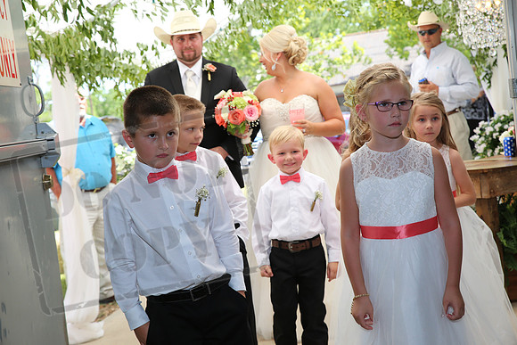 reception (13)