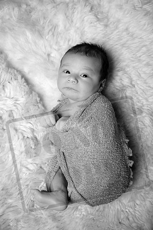 IMG_1136bw
