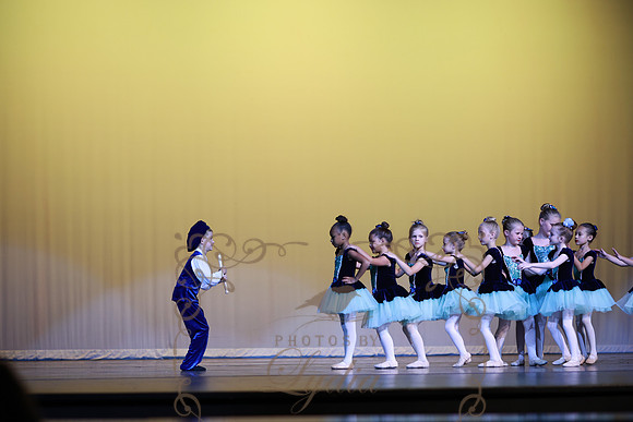 Pied Piper (41)