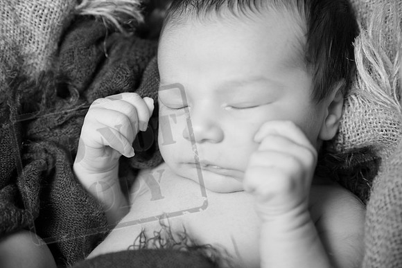 IMG_1150bw