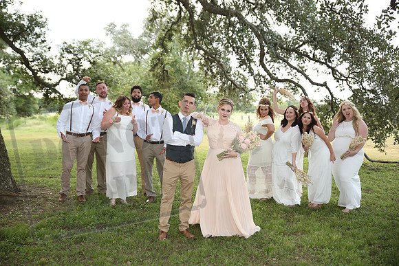 wedding party (2)
